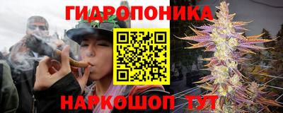 ешки Можга