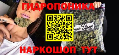 ешки Можга
