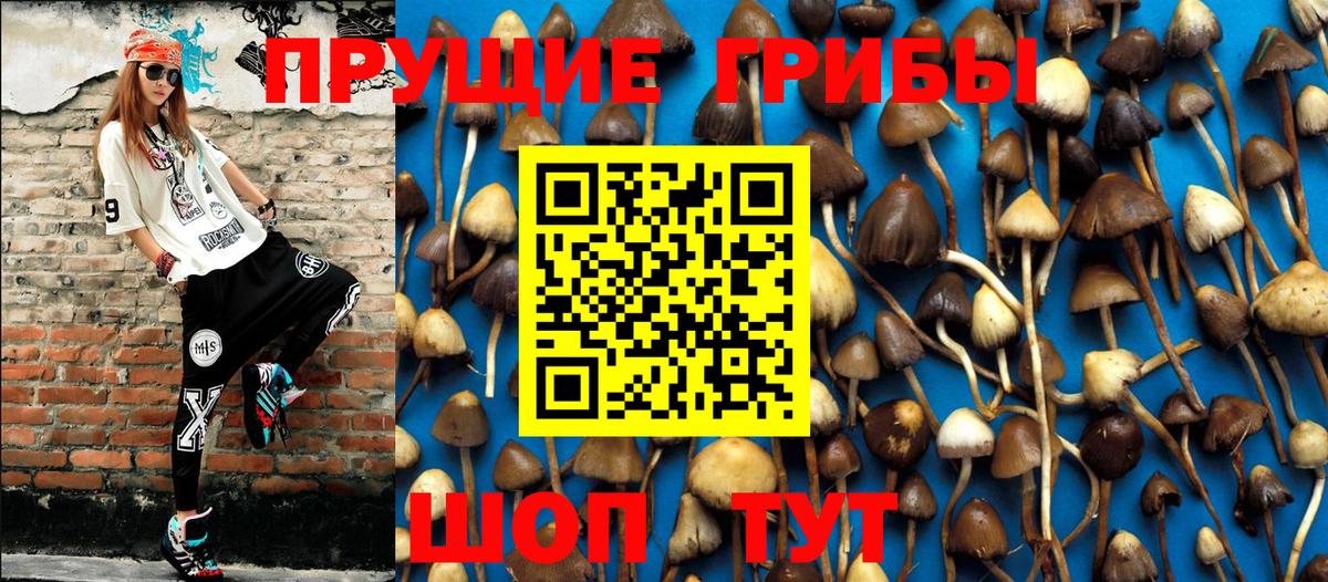 цена наркотик  Вход с VPN  Тавда  Галлюциногенные грибы Cubensis 